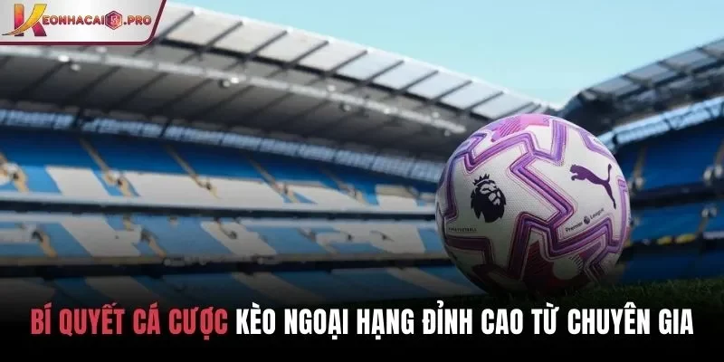 Bí quyết cá cược kèo Ngoại hạng Anh đỉnh cao từ chuyên gia