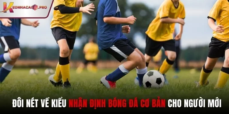 Đôi nét về kiểu nhận định bóng đá cơ bản cho người mới